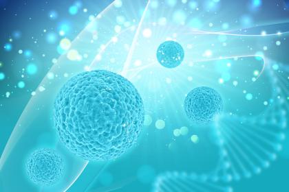 On NAD+, mitochondria, and the architecture of cellular fatigue